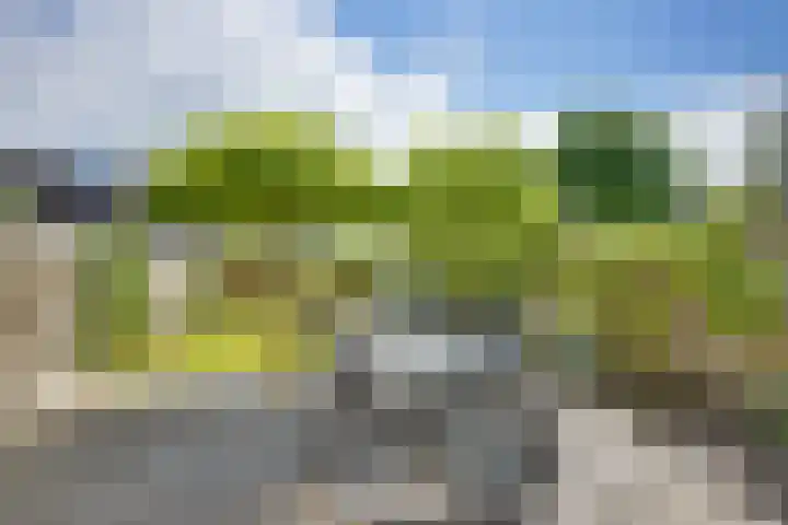 Kloosterhof 38 Dalfsen thumbnail 31