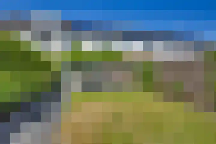 Kloosterhof 38 Dalfsen thumbnail 32