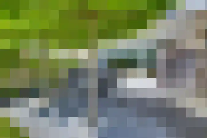 Kloosterhof 38 Dalfsen thumbnail 33