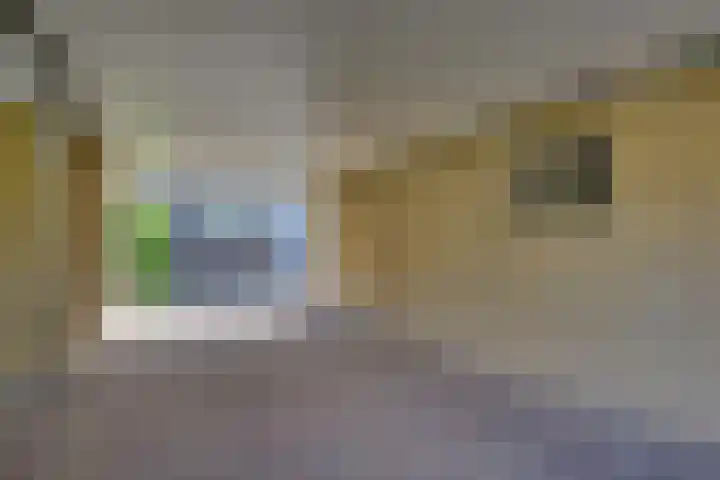 Kloosterhof 38 Dalfsen thumbnail 34