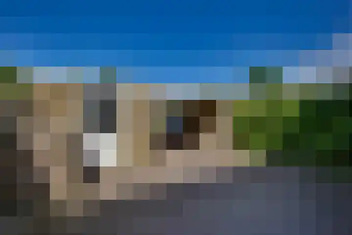 Kloosterhof 38 Dalfsen thumbnail 35
