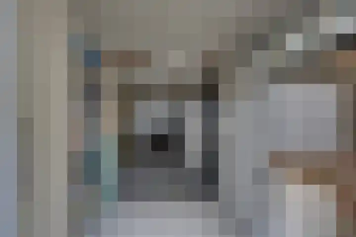 Kloosterhof 38 Dalfsen thumbnail 36