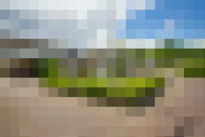 Kloosterhof 38 Dalfsen thumbnail 38