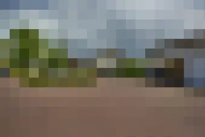 Kloosterhof 38 Dalfsen thumbnail 39