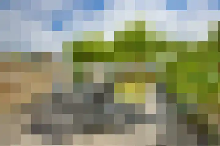 Kloosterhof 38 Dalfsen thumbnail 4