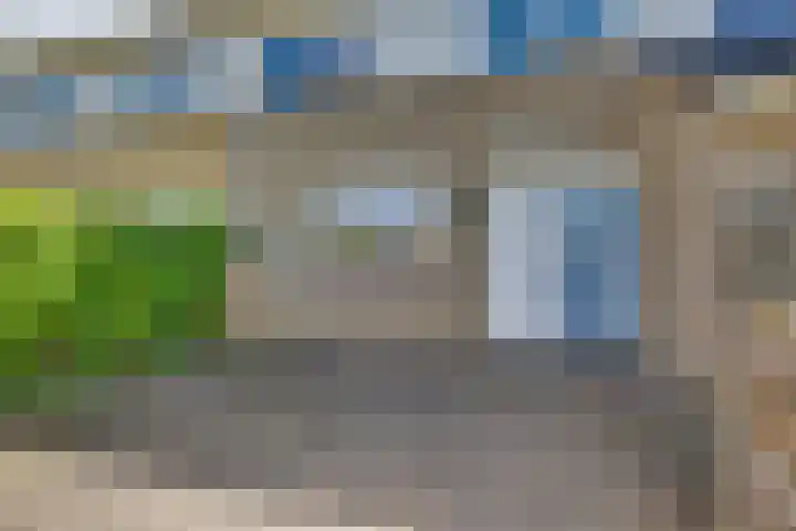 Kloosterhof 38 Dalfsen thumbnail 41