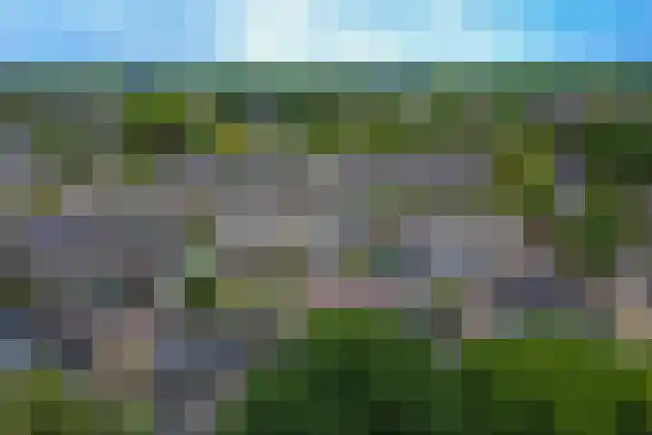 Kloosterhof 38 Dalfsen thumbnail 42