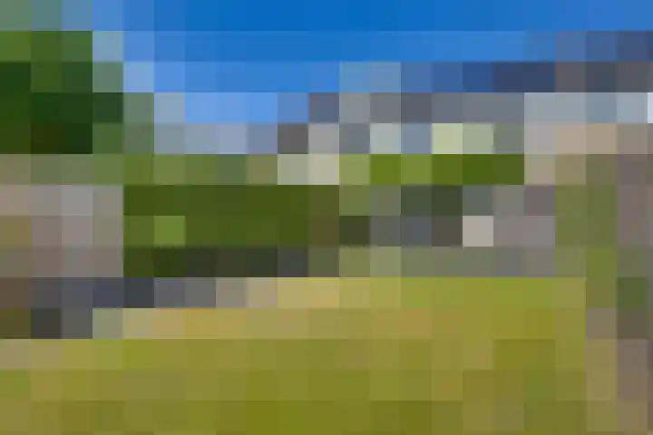 Kloosterhof 38 Dalfsen thumbnail 47