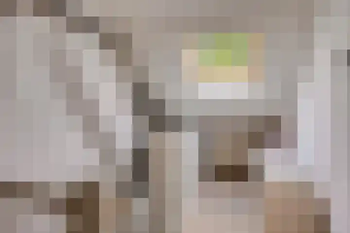 Kloosterhof 4 Deest thumbnail 24