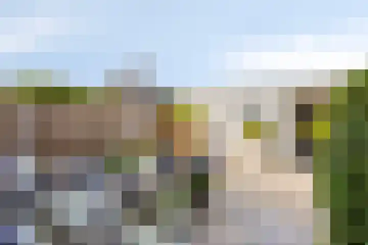 Kloosterhof 4 Deest thumbnail 28