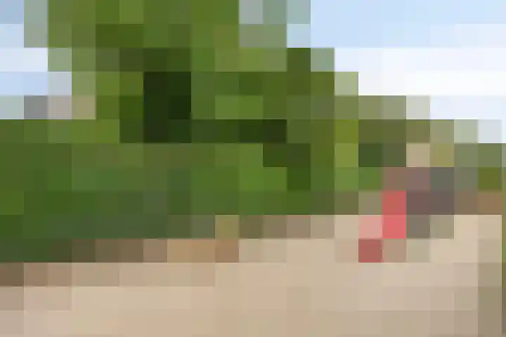 Kloosterhof 4 Deest thumbnail 29