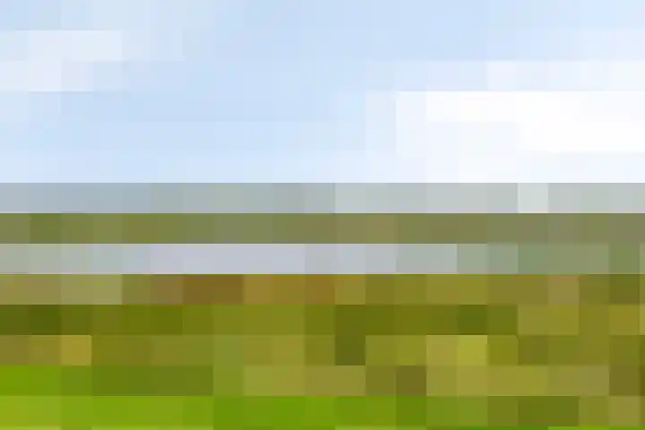 Kloosterhof 4 Deest thumbnail 30