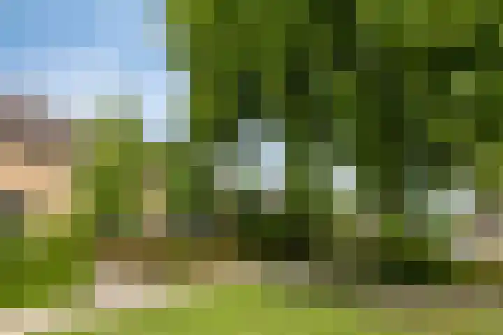 Kloosterhof 4 Deest thumbnail 5