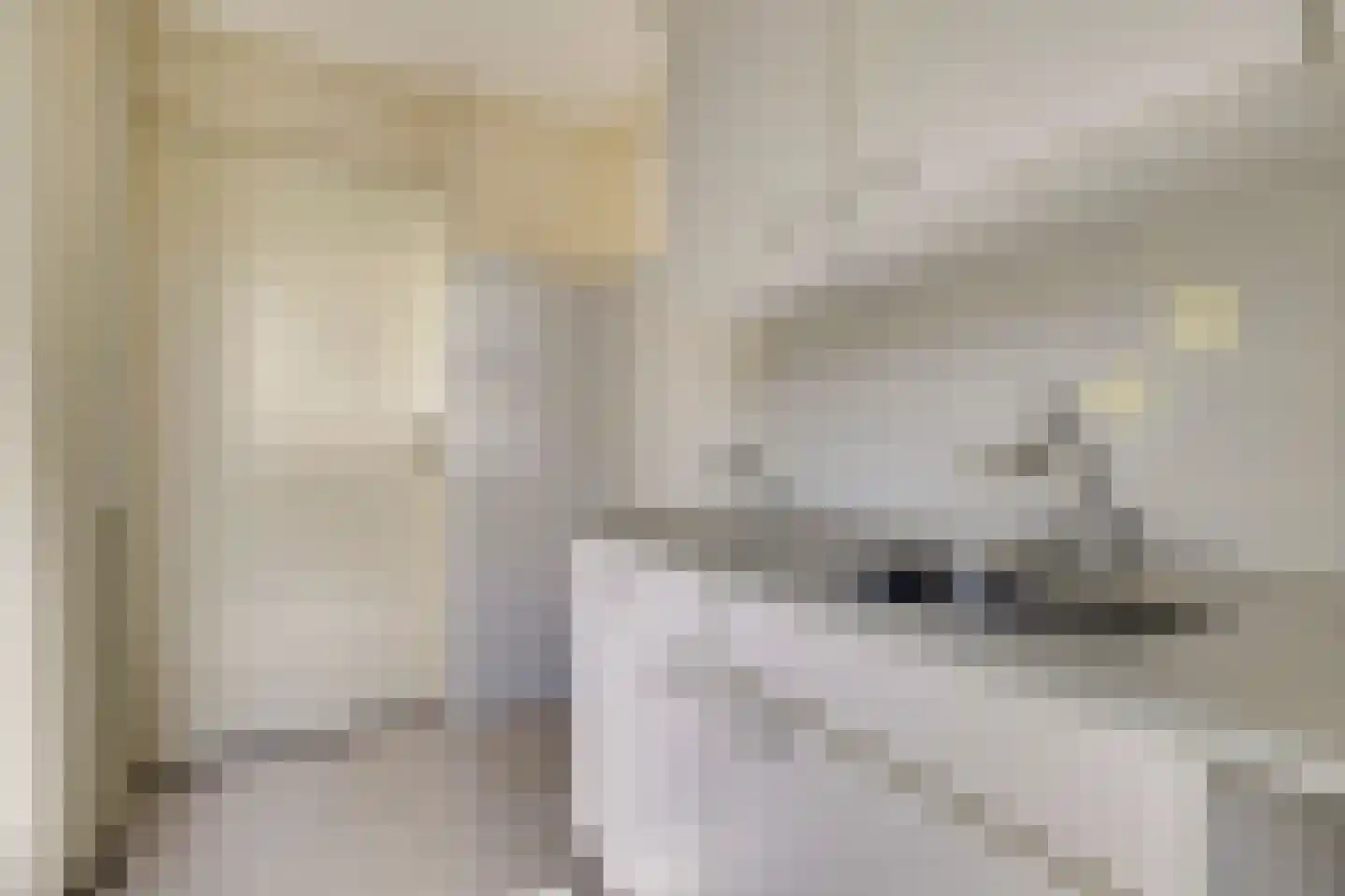 Kloosterhof 50 Venray thumbnail 12