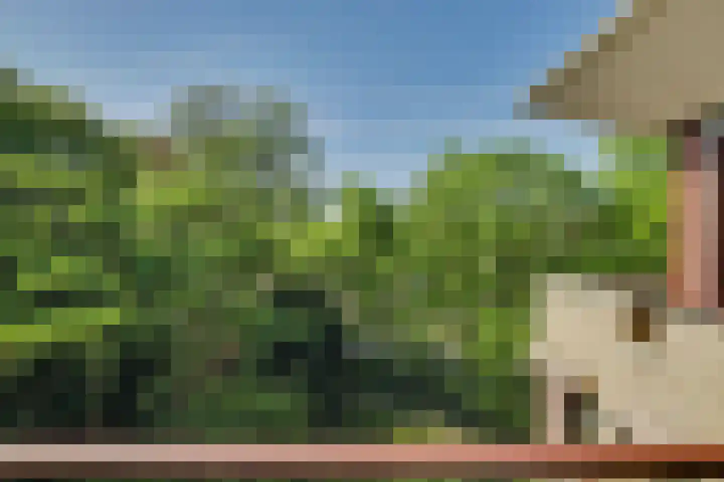 Kloosterhof 50 Venray thumbnail 21