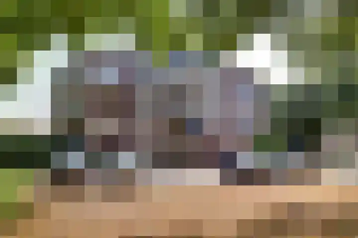 Kloosterhof 56 Venray thumbnail 14