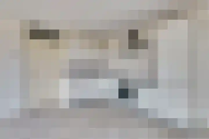 Kloosterhof 56 Venray thumbnail 5
