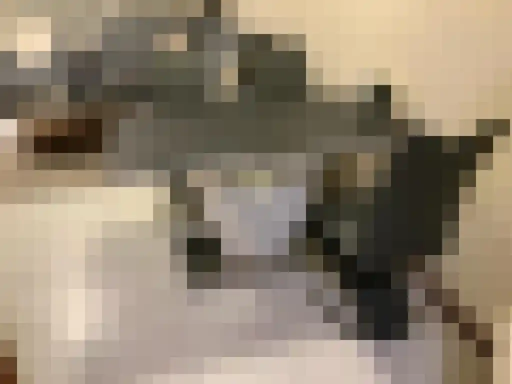 Kloosterhof 6 Leiderdorp thumbnail 5