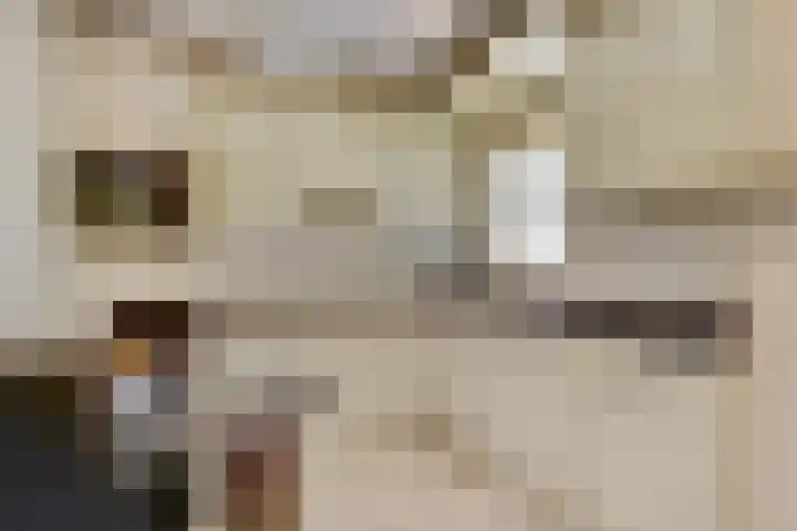 Kloosterhof 72 Venray thumbnail 12