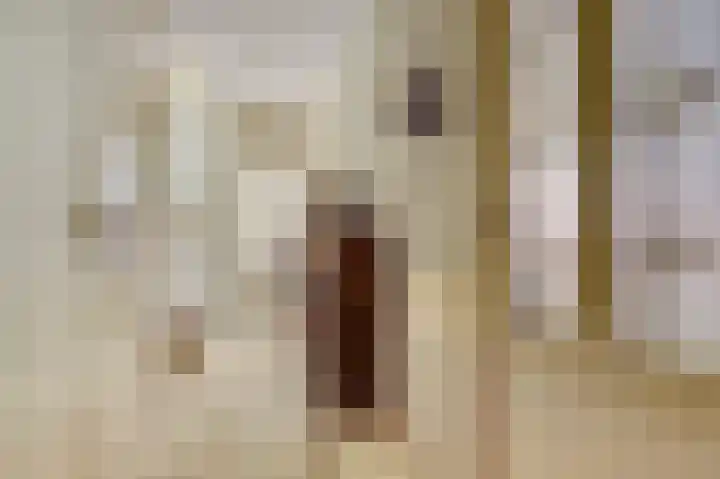 Kloosterhof 72 Venray thumbnail 14