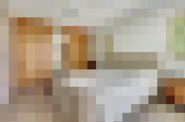 Kloosterhof 72 Venray thumbnail 16