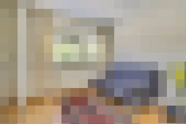 Kloosterhof 72 Venray thumbnail 24