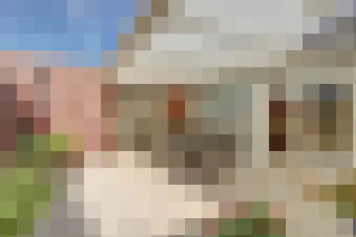 Kloosterhof 72 Venray thumbnail 26