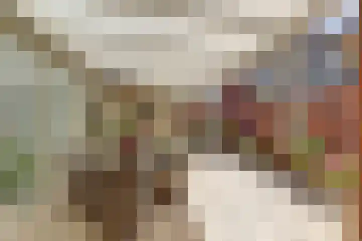 Kloosterhof 72 Venray thumbnail 4