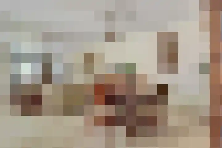 Kloosterhof 72 Venray thumbnail 7