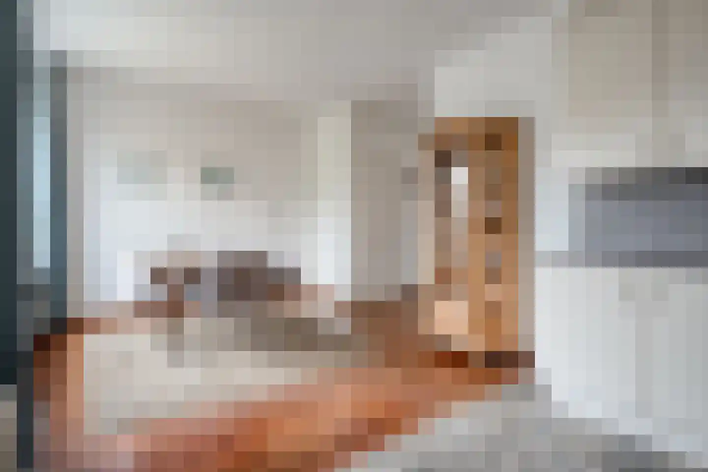 Kloosterhof 8 Dalfsen thumbnail 14