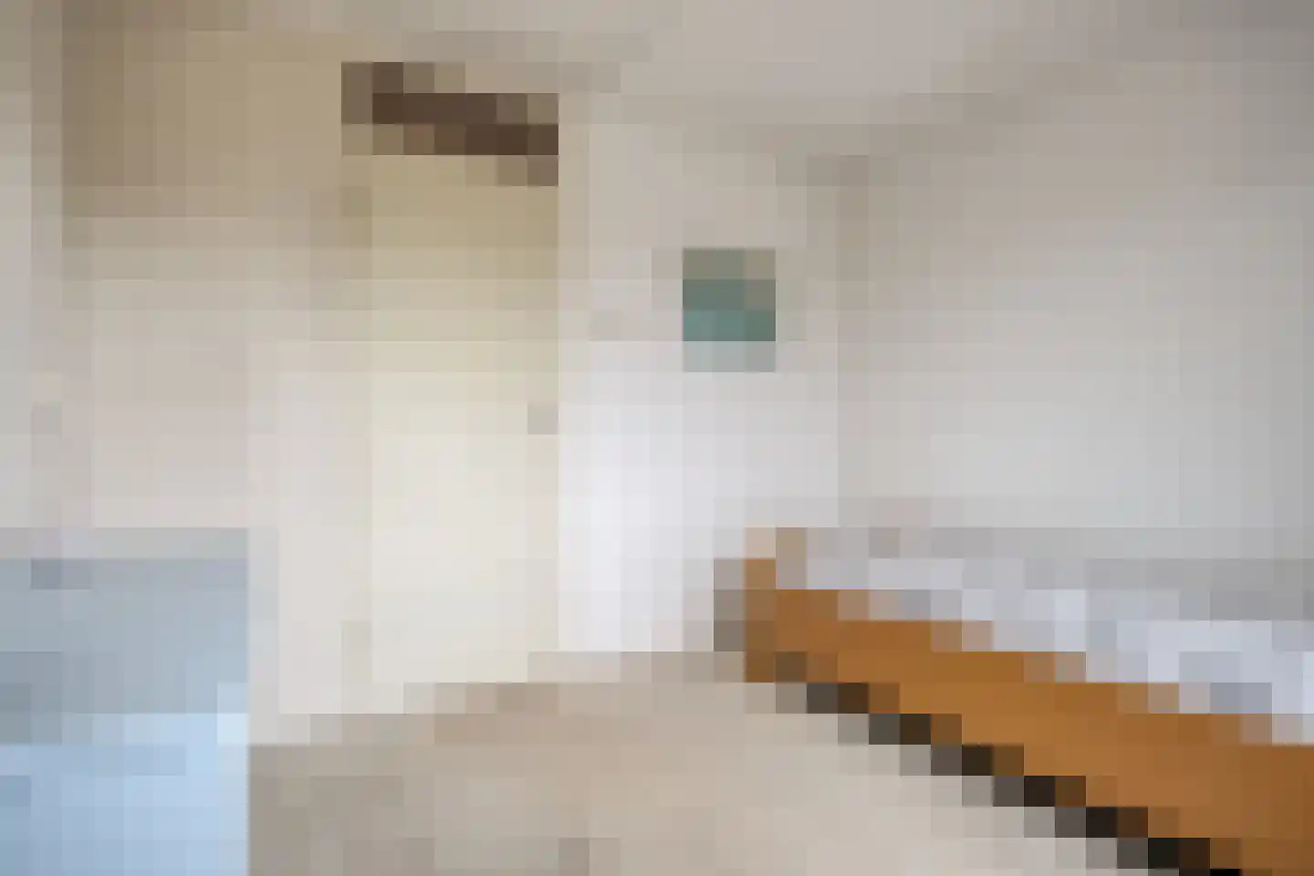 Kloosterhof 8 Dalfsen thumbnail 23