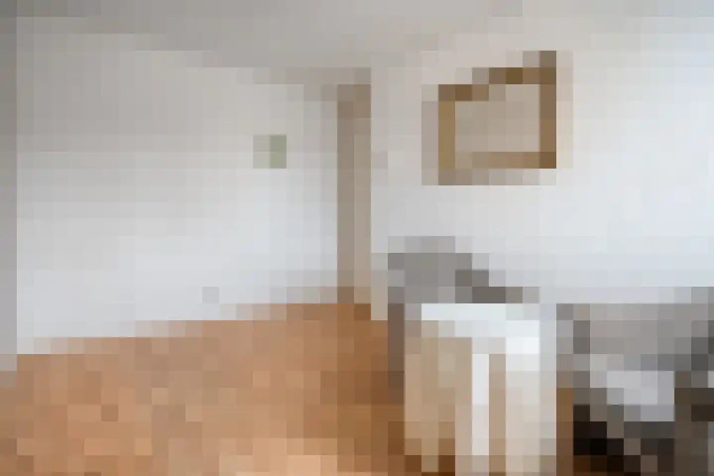 Kloosterhof 8 Dalfsen thumbnail 25