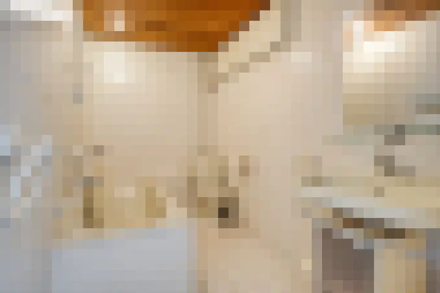 Kloosterhof 8 Dalfsen thumbnail 26