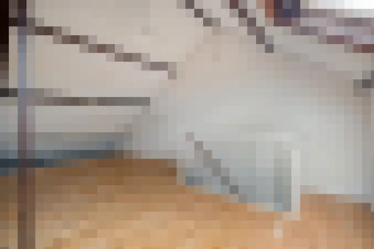 Kloosterhof 8 Dalfsen thumbnail 30