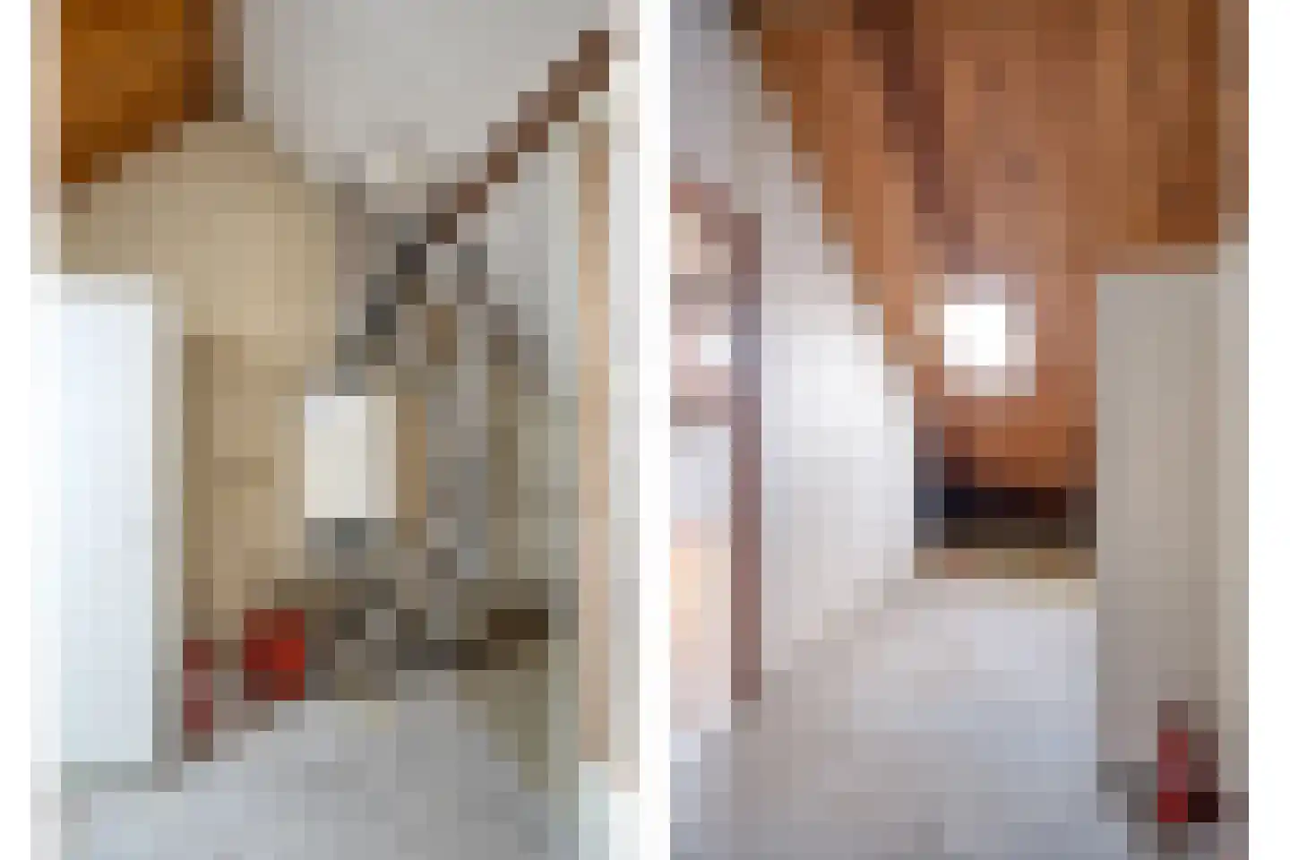 Kloosterhof 8 Dalfsen thumbnail 31