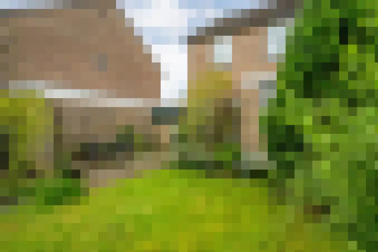 Kloosterhof 8 Dalfsen thumbnail 32