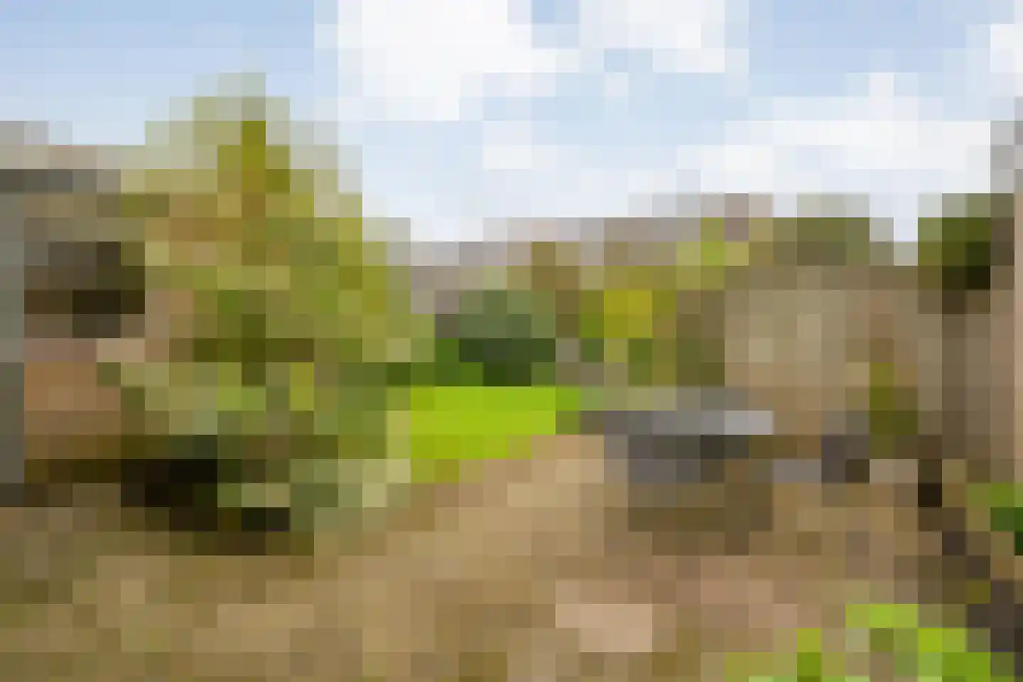 Kloosterhof 8 Dalfsen thumbnail 33