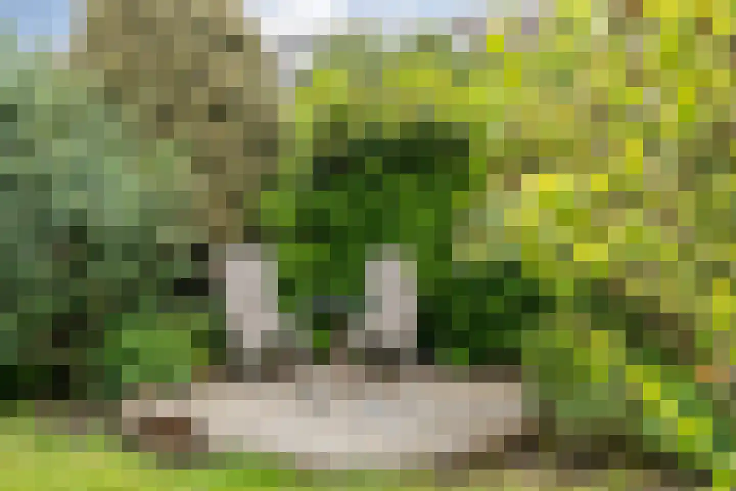 Kloosterhof 8 Dalfsen thumbnail 34