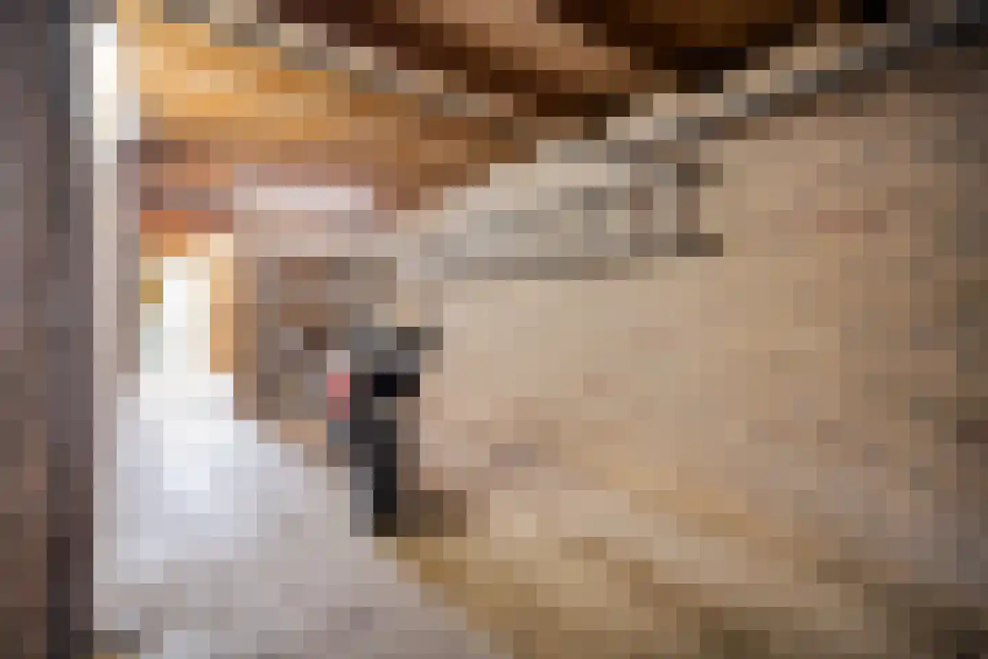 Kloosterhof 8 Dalfsen thumbnail 37