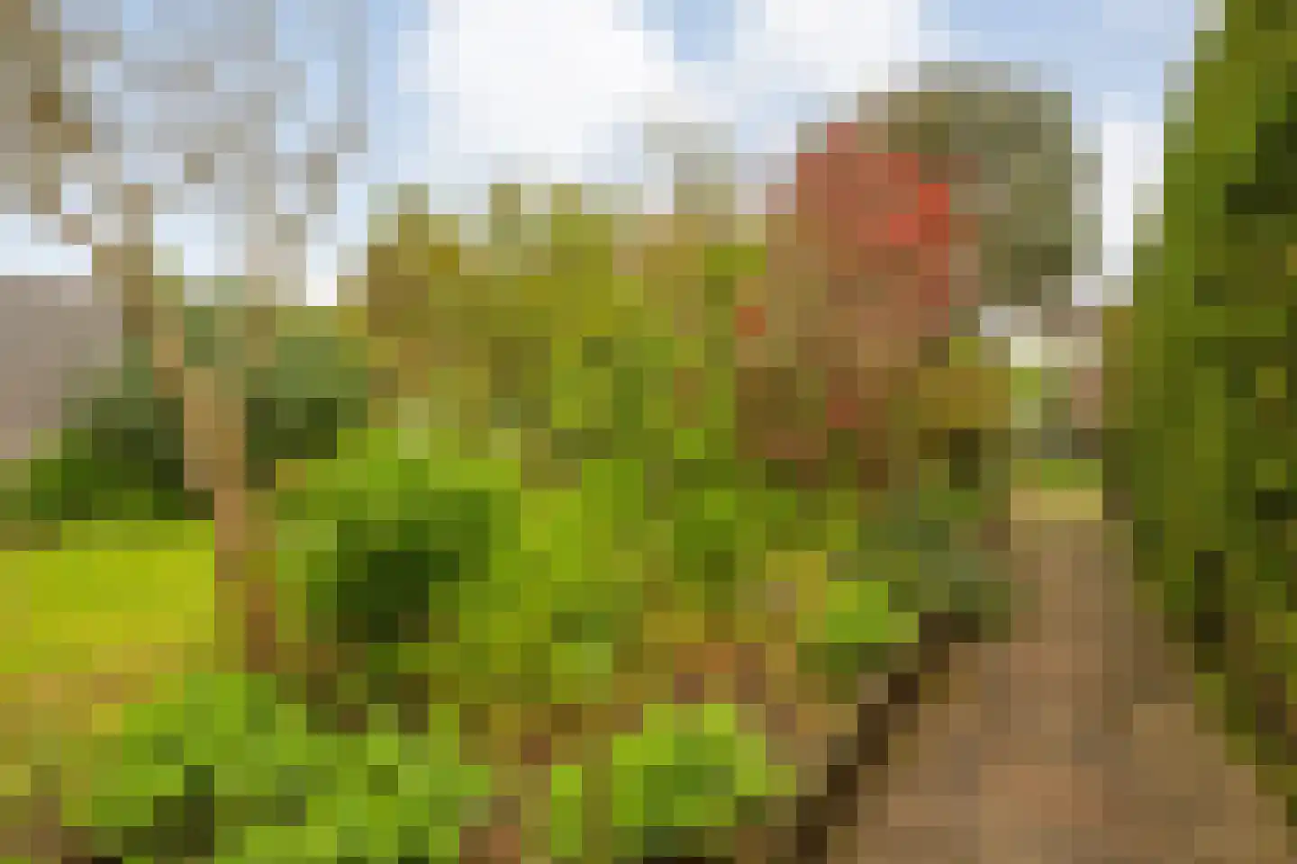 Kloosterhof 8 Dalfsen thumbnail 38