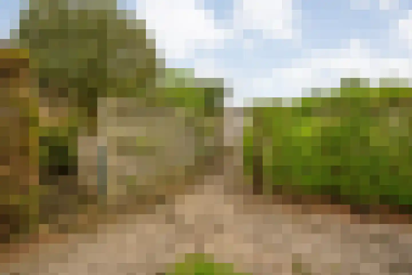 Kloosterhof 8 Dalfsen thumbnail 39