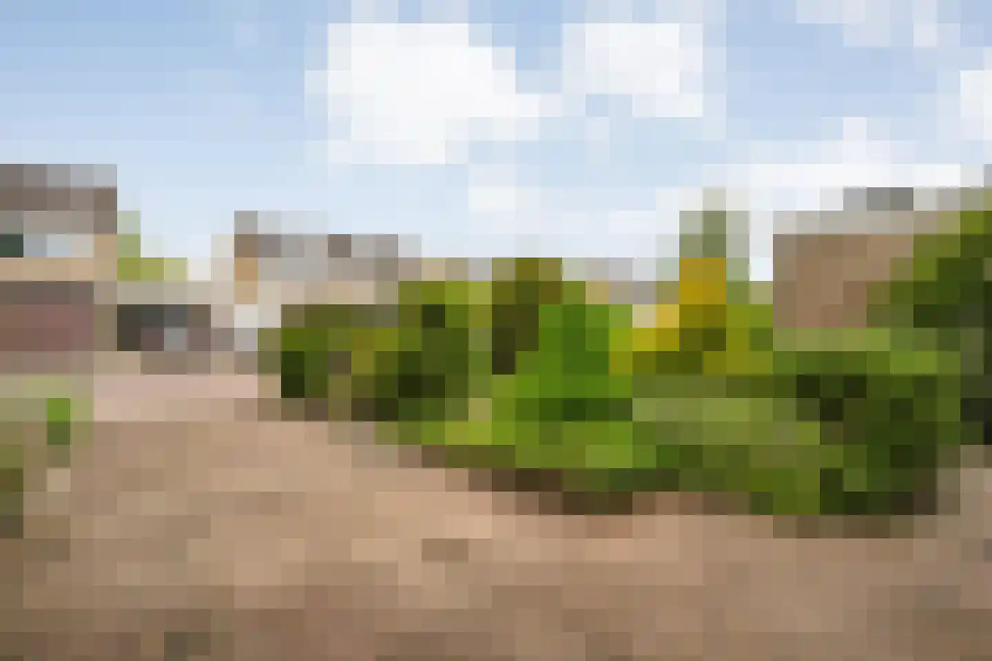 Kloosterhof 8 Dalfsen thumbnail 41