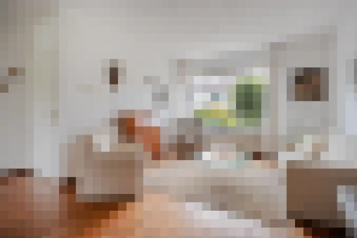 Kloosterhof 8 Dalfsen thumbnail 5