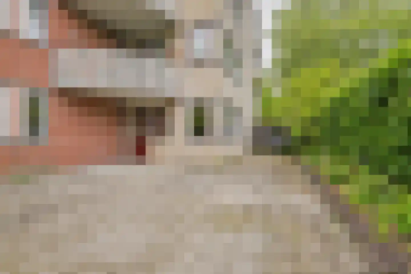 Kloosterhof 8 Venray thumbnail 16
