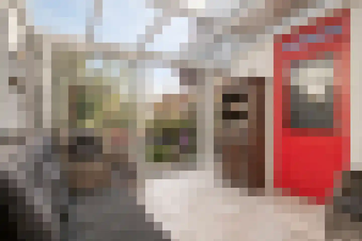 Kloosterhof 9 Veldhoven thumbnail 16