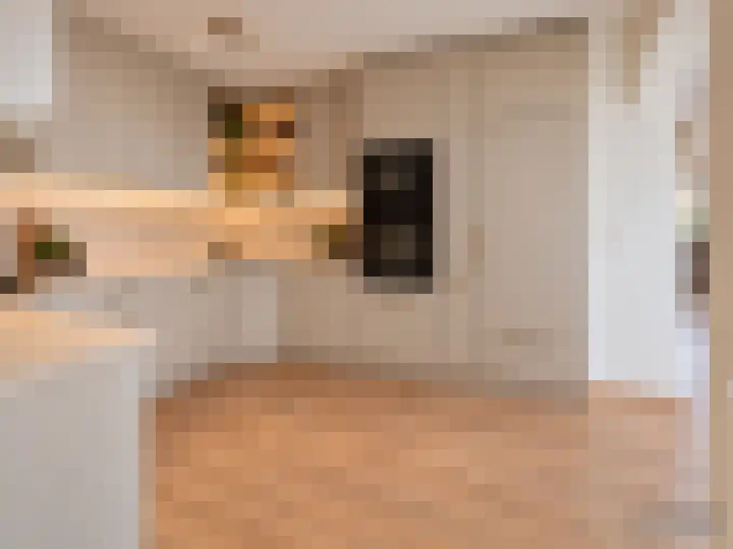 Kloosterhof 9 Veldhoven thumbnail 17