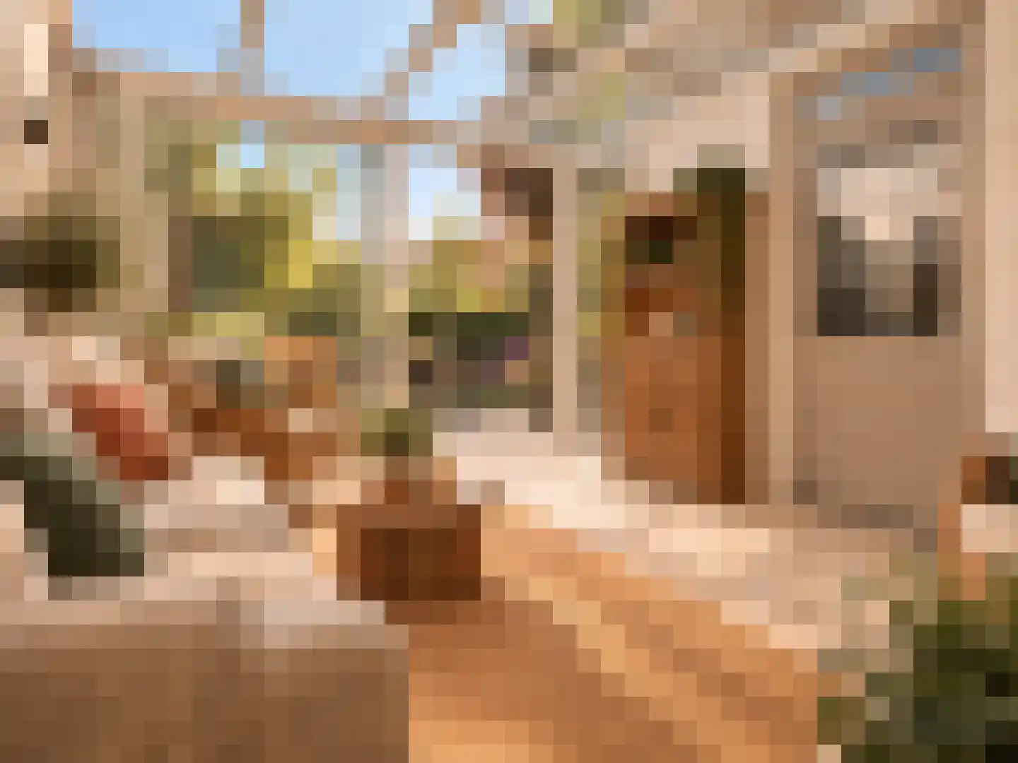 Kloosterhof 9 Veldhoven thumbnail 21