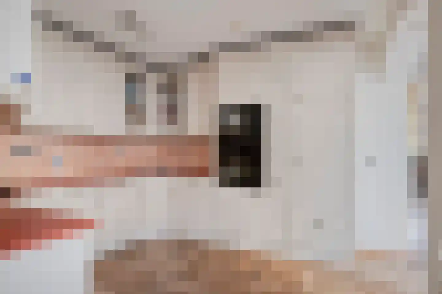 Kloosterhof 9 Veldhoven thumbnail 4