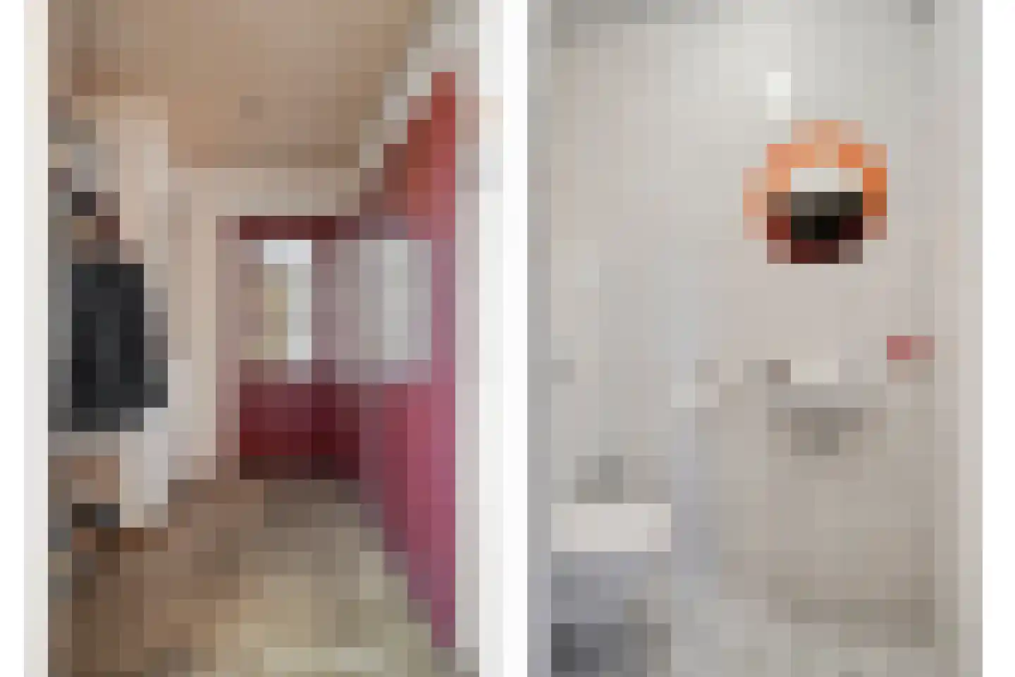 Kloosterhof 9 Veldhoven thumbnail 5