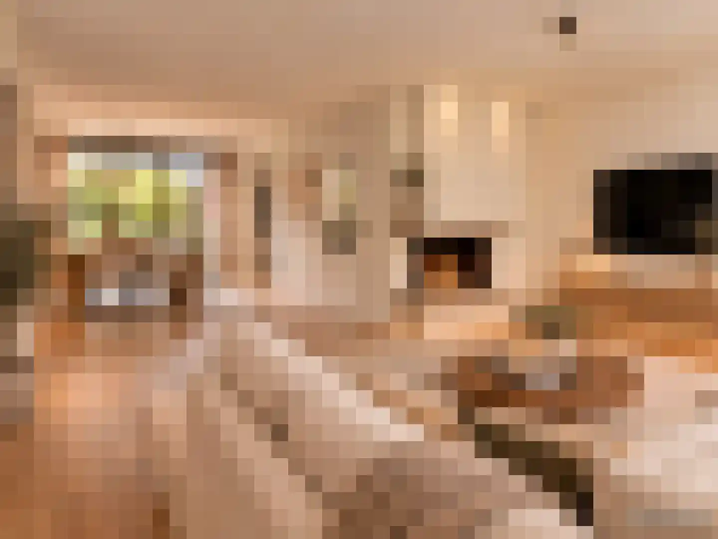 Kloosterhof 9 Veldhoven thumbnail 7